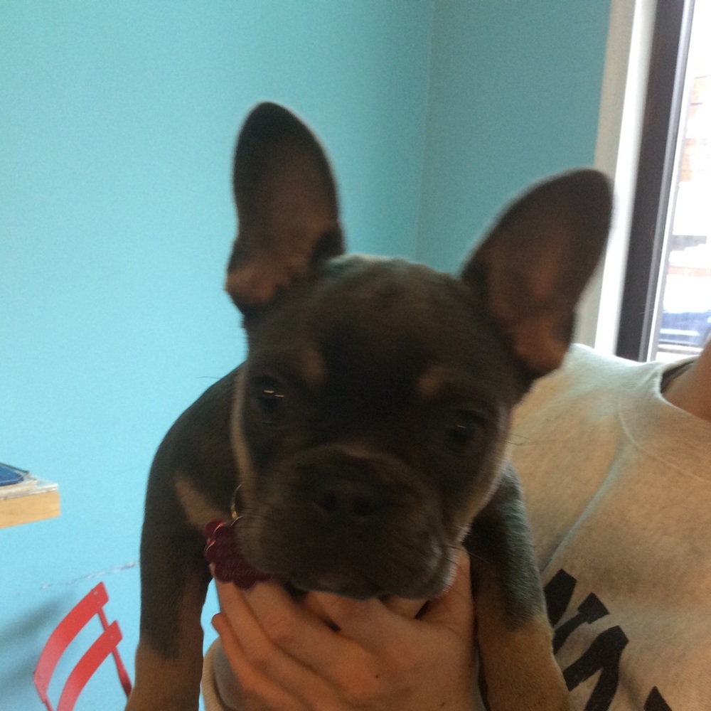 Meet your Posher, Lisa